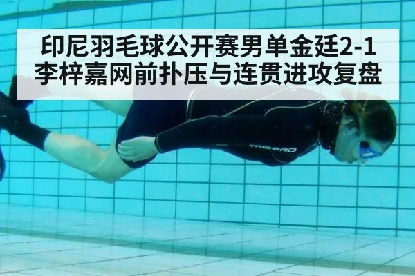 印尼羽毛球公开赛男单金廷2-1李梓嘉网前扑压与连贯进攻复盘